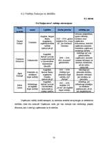 Biznesa plāns 'Sabiedrība ar ierobežotu atbildību "Kaljan-town"', 33.