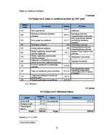 Biznesa plāns 'Sabiedrība ar ierobežotu atbildību "Kaljan-town"', 40.