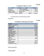 Biznesa plāns 'Sabiedrība ar ierobežotu atbildību "Kaljan-town"', 41.