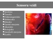 Prezentācija 'Sensori', 6.