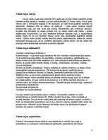 Referāts 'Valūtas tirgus', 8.