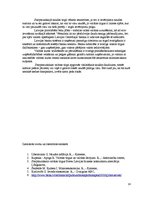 Referāts 'Valūtas tirgus', 14.