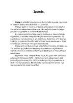 Referāts 'Atmiņa', 1.