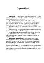 Referāts 'Atmiņa', 4.