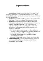 Referāts 'Atmiņa', 7.