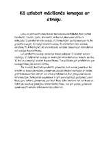 Referāts 'Atmiņa', 8.