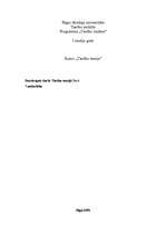 Konspekts 'Patstāvīgais darbs tiesību teorijā', 1.