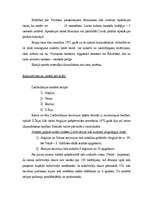 Referāts 'Lielbritānijas tiesību sistēmas izveidošanās', 20.