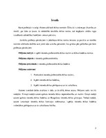 Referāts 'Tiesnešu profesionālā ētika', 3.