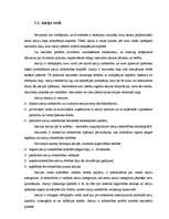 Referāts 'Dividendes', 1.