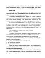 Referāts 'Dividendes', 4.