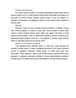 Referāts 'Dividendes', 19.