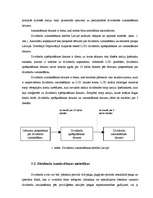 Referāts 'Dividendes', 21.