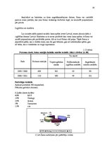 Referāts 'Mārketinga vides analīze SIA "Novo"', 12.
