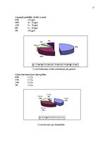 Referāts 'Mārketinga vides analīze SIA "Novo"', 13.