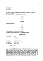Referāts 'Mārketinga vides analīze SIA "Novo"', 21.