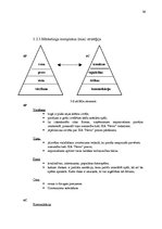 Referāts 'Mārketinga vides analīze SIA "Novo"', 32.