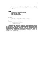 Referāts 'Mārketinga vides analīze SIA "Novo"', 33.