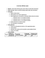 Paraugs 'Atstarotāju refleksijas spējas', 1.