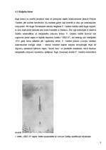 Referāts 'Astronomija', 8.