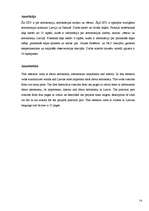 Referāts 'Astronomija', 14.