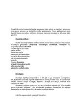 Referāts 'Bizantijas impērija', 4.