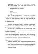 Referāts 'Rotaļas 5 – 6 gadu vecumā', 3.