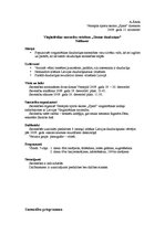 Paraugs 'Sacensību nolikums', 10.