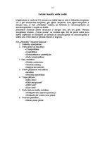 Referāts 'Sadales kanāli uzņēmumā SIA "Stārastāni"', 11.