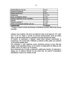 Referāts 'Sadales kanāli uzņēmumā SIA "Stārastāni"', 13.