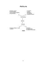 Referāts 'Vērtspapīri', 33.