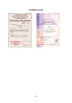 Referāts 'Vērtspapīri', 40.