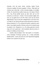 Referāts 'Lielais zīda ceļš', 8.