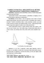 Konspekts 'Vadības funkcijas. Organizēšanas būtība. Organizācijas struktūras veidošana', 1.