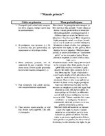 Konspekts 'Citātu paskaidrojums grāmatai "Mazais princis"', 1.