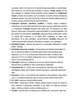 Konspekts 'Uzņēmējdarbības organizēšanas termini', 3.