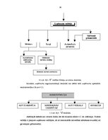 Referāts 'Personāla atlases un novērtēšanas sistēmas pilnveide uzņēmumā AS "X"', 38.