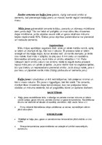 Konspekts 'Javas un javu maisījumi', 2.