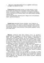 Konspekts 'Javas un javu maisījumi', 3.