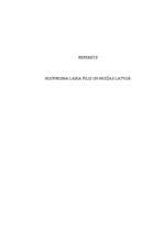 Referāts 'Historisma laika pilis un muižas Latvijā', 1.