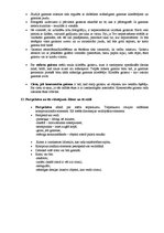 Konspekts 'Fotogrāfijas specializācijas kvalifikācijas eksāmena atbildes', 9.