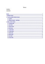 Referāts 'Vizuāli plastiskās mākslas terapija', 2.