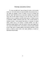 Referāts 'Līgumu brīvība', 13.