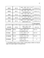 Prakses atskaite 'SIA "Darījumu partneri" prakses atskaite', 27.