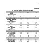 Prakses atskaite 'SIA "Darījumu partneri" prakses atskaite', 46.