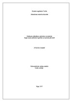 Referāts 'Pasākumu plānošana, realizācija un kontrole Rīgas rajona padomes Izglītības un k', 1.