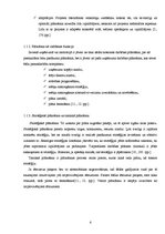 Referāts 'Pasākumu plānošana, realizācija un kontrole Rīgas rajona padomes Izglītības un k', 6.