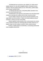 Prakses atskaite 'Prakses atskaite', 12.