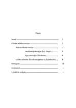 Eseja 'Cilvēka attīstības filosofiskais un psiholoģiskais pamats', 2.