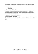 Referāts 'Stomas pacienta problēmas pēc operācijas', 5.